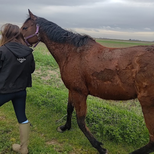 Shakiah is damn filthy after rolling in mud